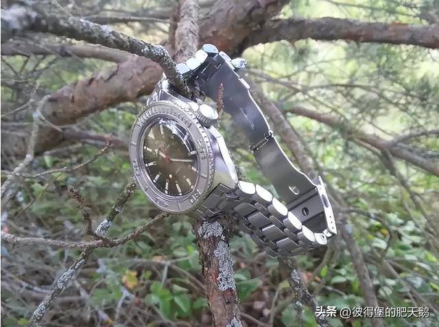 斯的制表工业腕表和俄罗(图11) 斯的制表工业腕表和俄罗(图11)